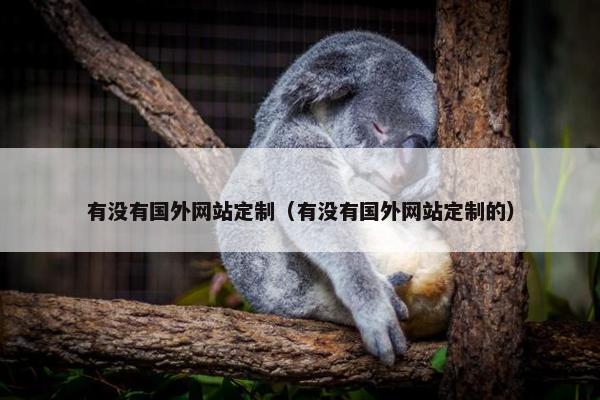 有没有国外网站定制（有没有国外网站定制的）