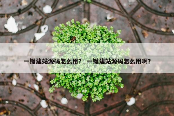 一键建站源码怎么用？ 一键建站源码怎么用啊？