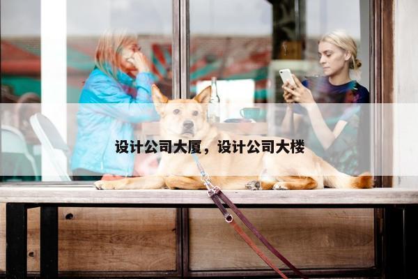 设计公司大厦，设计公司大楼