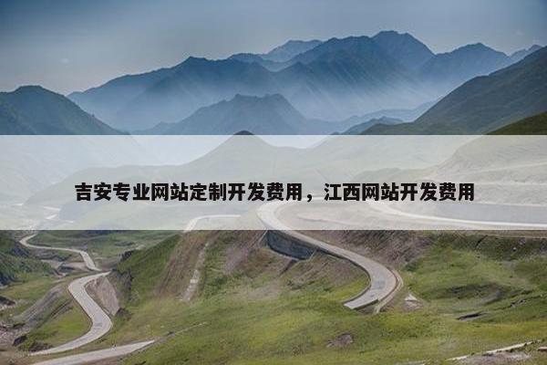 吉安专业网站定制开发费用，江西网站开发费用
