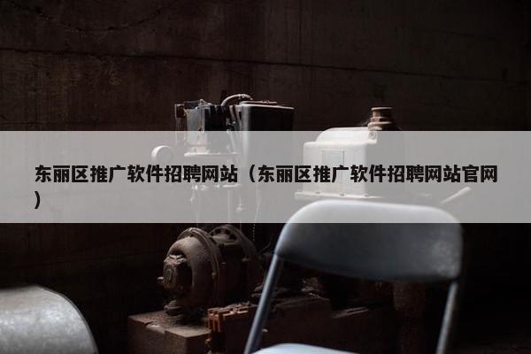 东丽区推广软件招聘网站（东丽区推广软件招聘网站官网）