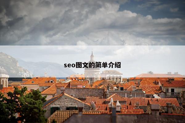 seo图文的简单介绍