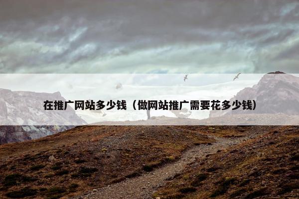 在推广网站多少钱（做网站推广需要花多少钱）