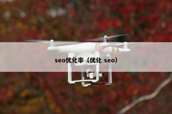 seo优化率（优化 seo）