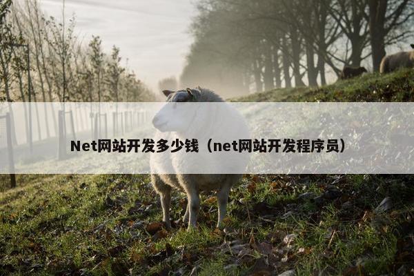 Net网站开发多少钱（net网站开发程序员）