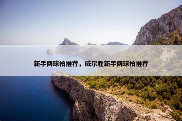 新手网球拍推荐，威尔胜新手网球拍推荐