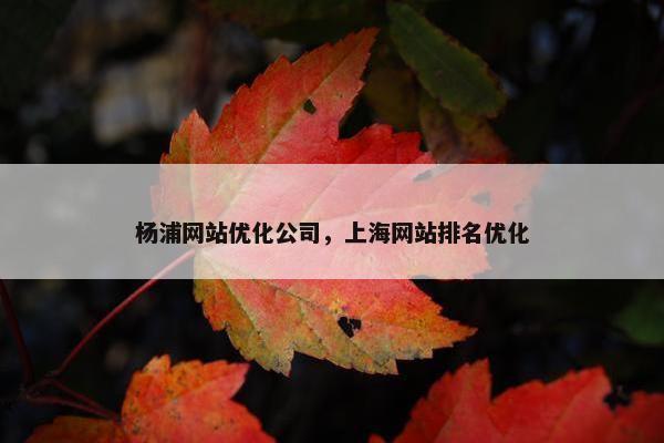 杨浦网站优化公司，上海网站排名优化