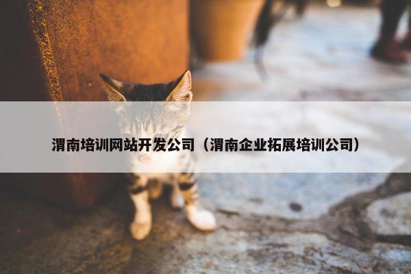 渭南培训网站开发公司（渭南企业拓展培训公司）