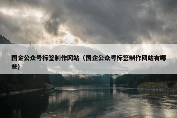 国企公众号标签制作网站（国企公众号标签制作网站有哪些）