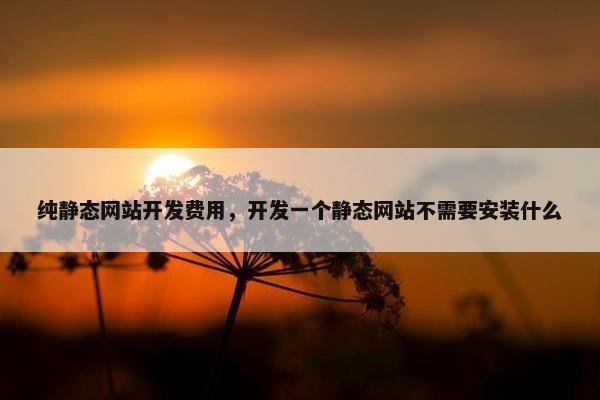纯静态网站开发费用，开发一个静态网站不需要安装什么
