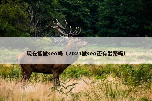 现在能做seo吗（2021做seo还有出路吗）