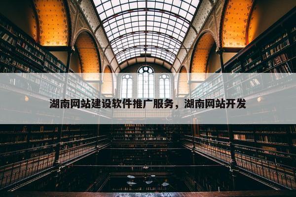 湖南网站建设软件推广服务，湖南网站开发