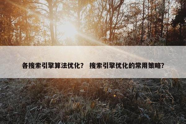各搜索引擎算法优化？ 搜索引擎优化的常用策略？