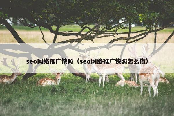 seo网络推广快照（seo网络推广快照怎么做）