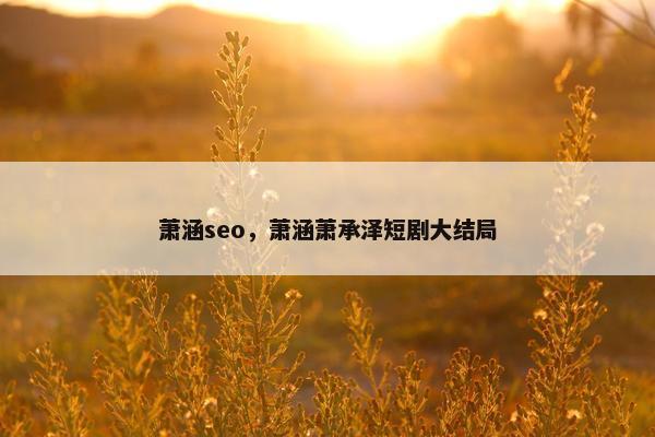 萧涵seo，萧涵萧承泽短剧大结局