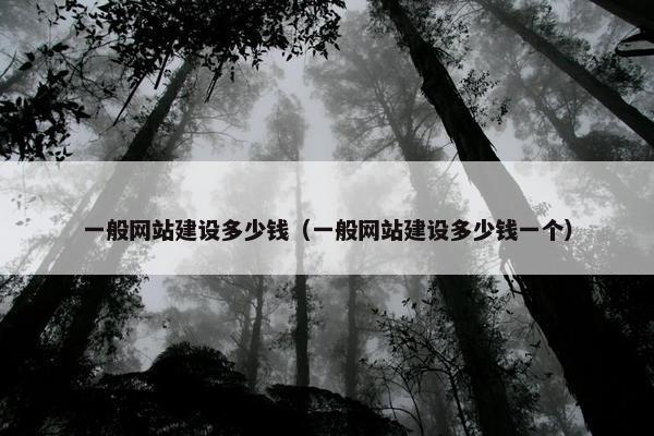 一般网站建设多少钱（一般网站建设多少钱一个）