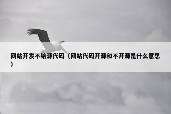 网站开发不给源代码（网站代码开源和不开源是什么意思）