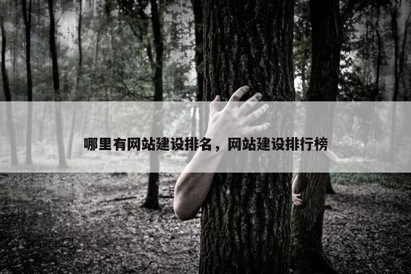 哪里有网站建设排名，网站建设排行榜