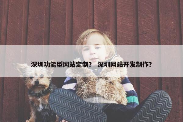 深圳功能型网站定制？ 深圳网站开发制作？