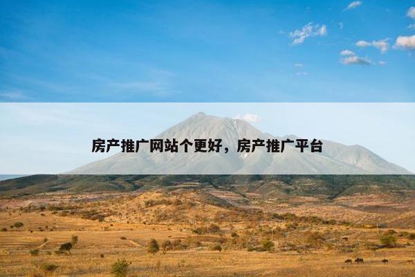 房产推广网站个更好，房产推广平台