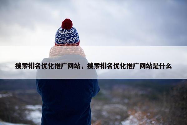 搜索排名优化推广网站，搜索排名优化推广网站是什么