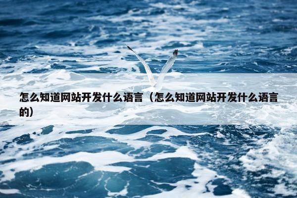 怎么知道网站开发什么语言（怎么知道网站开发什么语言的）