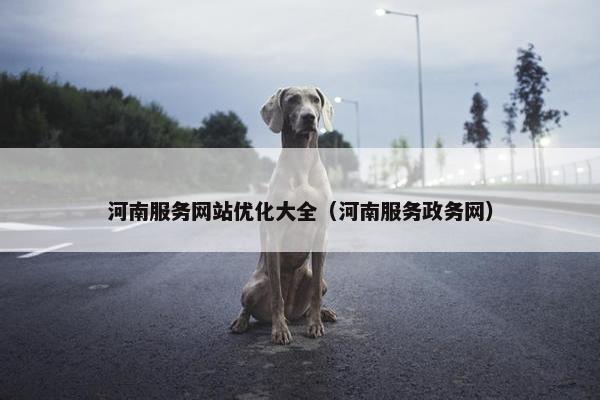 河南服务网站优化大全（河南服务政务网）