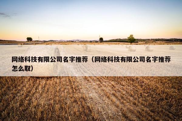 网络科技有限公司名字推荐（网络科技有限公司名字推荐怎么取）