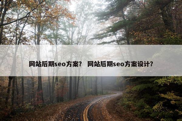 网站后期seo方案？ 网站后期seo方案设计？