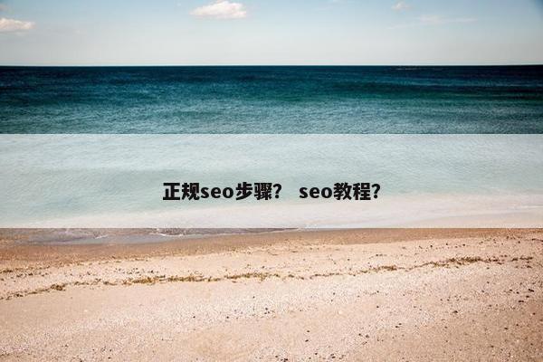 正规seo步骤？ seo教程？