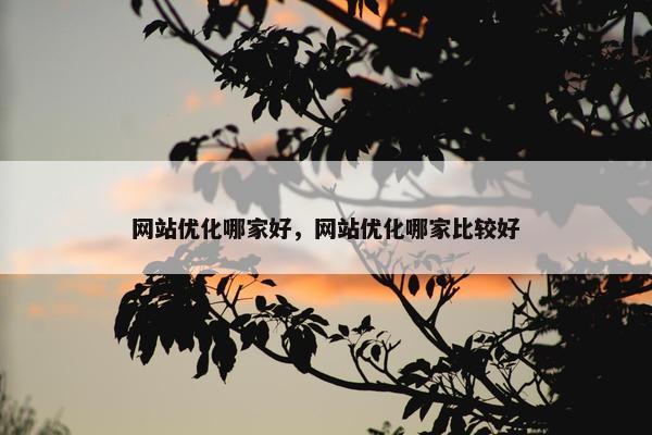 网站优化哪家好，网站优化哪家比较好