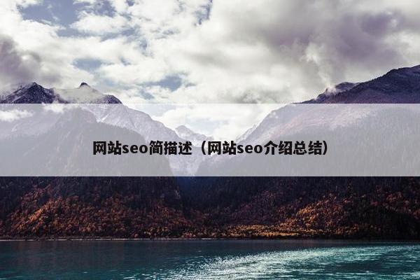 网站seo简描述（网站seo介绍总结）