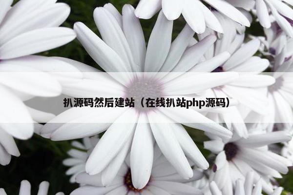 扒源码然后建站（在线扒站php源码）