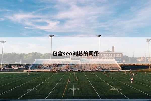 包含seo刘总的词条