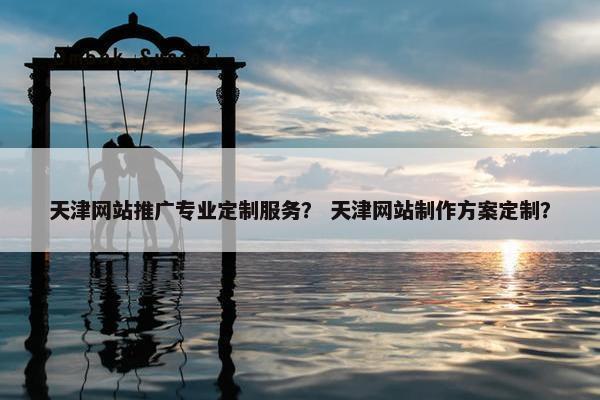 天津网站推广专业定制服务？ 天津网站制作方案定制？