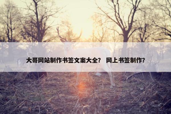 大哥网站制作书签文案大全？ 网上书签制作？