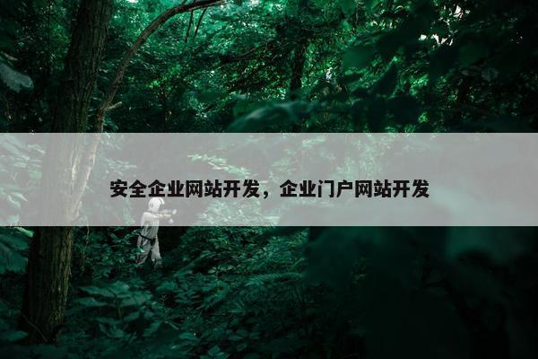 安全企业网站开发，企业门户网站开发