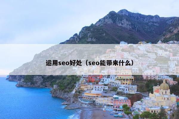 运用seo好处（seo能带来什么）