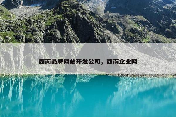 西南品牌网站开发公司，西南企业网