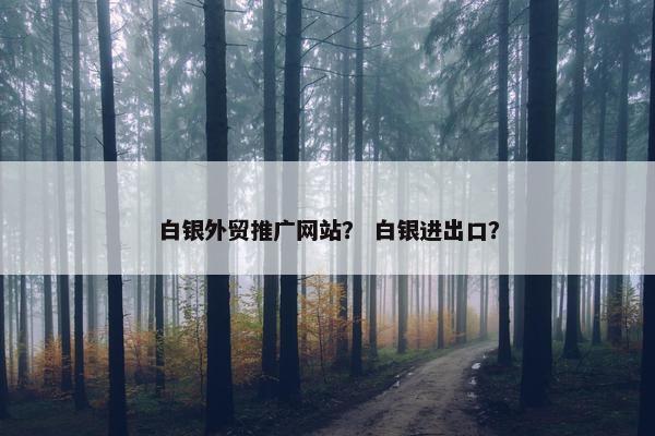白银外贸推广网站？ 白银进出口？