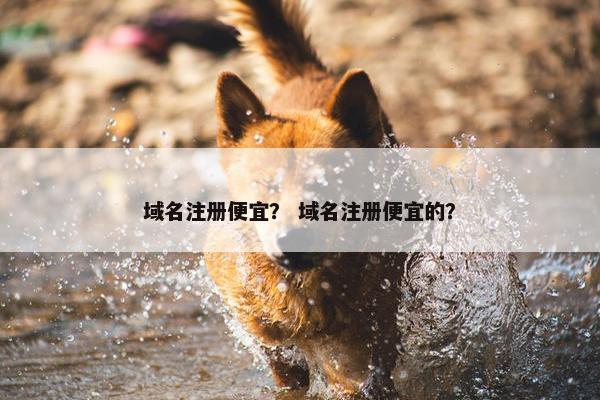 域名注册便宜？ 域名注册便宜的？