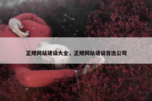 正规网站建设大全，正规网站建设首选公司