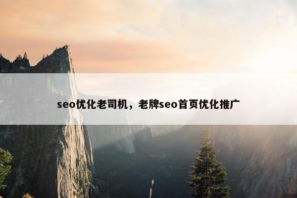 seo优化老司机，老牌seo首页优化推广