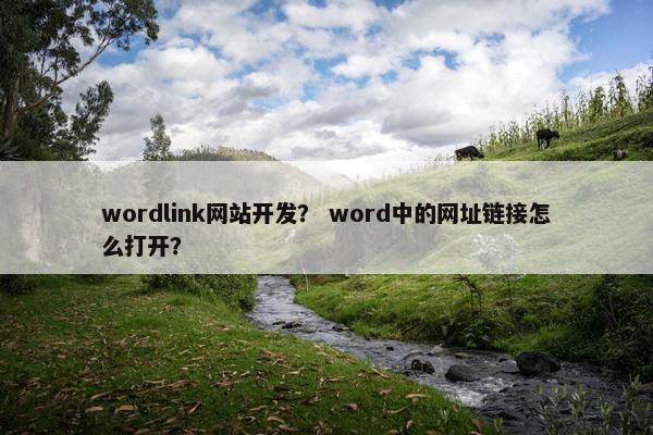 wordlink网站开发？ word中的网址链接怎么打开？