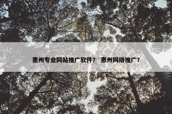 惠州专业网站推广软件？ 惠州网络推广？