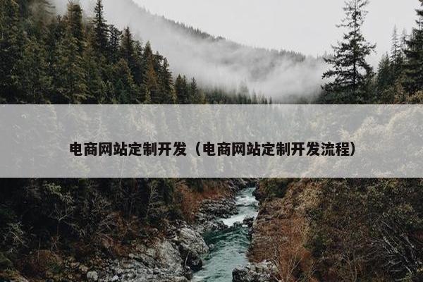 电商网站定制开发（电商网站定制开发流程）