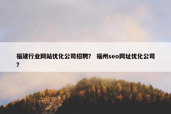 福建行业网站优化公司招聘？ 福州seo网址优化公司？