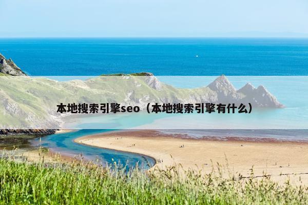 本地搜索引擎seo（本地搜索引擎有什么）