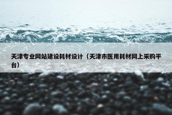 天津专业网站建设耗材设计（天津市医用耗材网上采购平台）