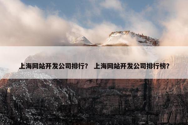 上海网站开发公司排行？ 上海网站开发公司排行榜？